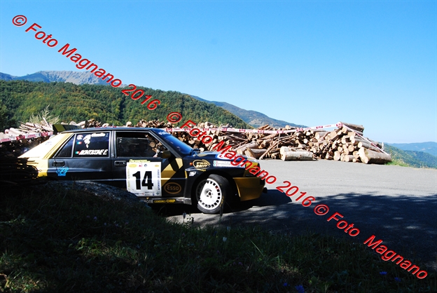 DSC_4339.JPG